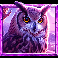 5 wild wolves owl symbol