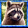5 wild wolves raccoon symbol