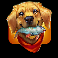 bass cash diamond x up dog symbol