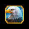 book of buffalo eagle symbol
