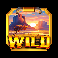 book of buffalo wild symbol