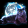 cash elevator slot cat symbol