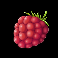 enchanted kingdom berry symbol
