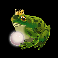 enchanted kingdom frog symbol