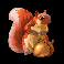 enchanted kingdom squirrel symbol