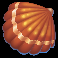 fish n nudge big catch orange shell symbol