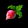 golden gals beetroot symbol