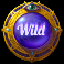 lady of fortune destiny spins slot wild symbol