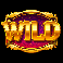 magic treasures dragon wild symbol