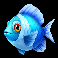 marlin masters the big haul blue fish symbol