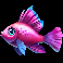marlin masters the big haul purple fish symbol