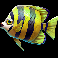 marlin masters the big haul yellow and black fish symbol