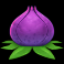 Purple Plant
