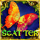 Scatter