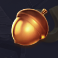 Acorn