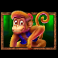 3 genie wishes slot monkey symbol