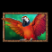 3 genie wishes slot parrot symbol