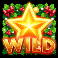 area link christmas slot wild symbol