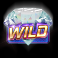 big win 777 slot wild symbol