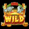 buildin more bucks slot wild symbol