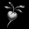 circle of life root fruit symbol