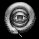circle of life snake eye symbol