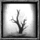 circle of life tree symbol