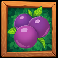 el capy blueberries symbol