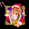 fishin triple christmas pots of gold slot wild symbol