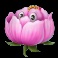 flowers slot pink lotus symbol