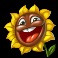 flowers slot sunflower symbol