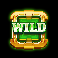 gold blitz express wild symbol