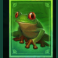 multifly multimax slot frog symbol