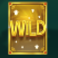 multifly multimax slot wild symbol