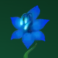 pans arcadia slot blue flower symbol