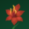 pans arcadia slot red flower symbol