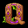 shamrock money pot big bang letter q symbol