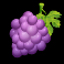 wacky panda slot grapes symbol