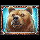 wild-north-bear-symbol