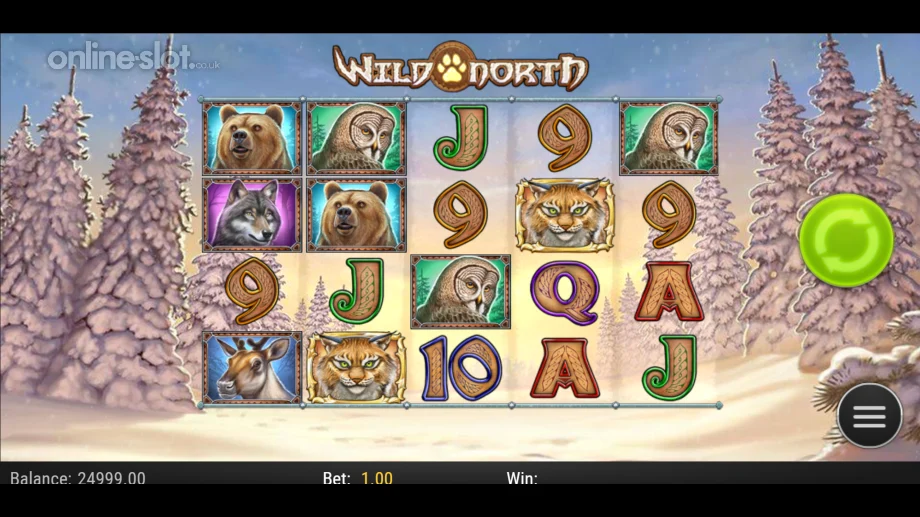 wild north slot base game