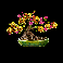 astro-cat-bonsai-tree-symbol