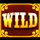 big money frenzy cash gains wild symbol