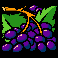 big-wheel-grapes-symbol