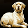 downton-abbey-slot-dog-symbol
