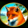 elven-princess-slot-fox-symbol