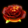 fire-vs-ice-slot-rose-symbol
