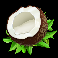 froots-coconut-symbol