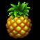froots-pineapple-symbol