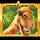 hidden camel symbol