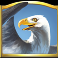 hidden valley slot eagle symbol